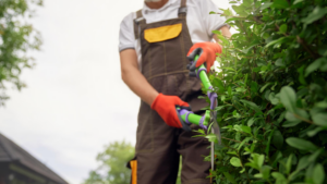 Garden Care in New Fairfield | Lawn Experts in CT