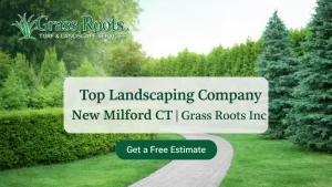 Landscaping company New Milford
