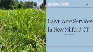 Lawn care Services in New Milford CT