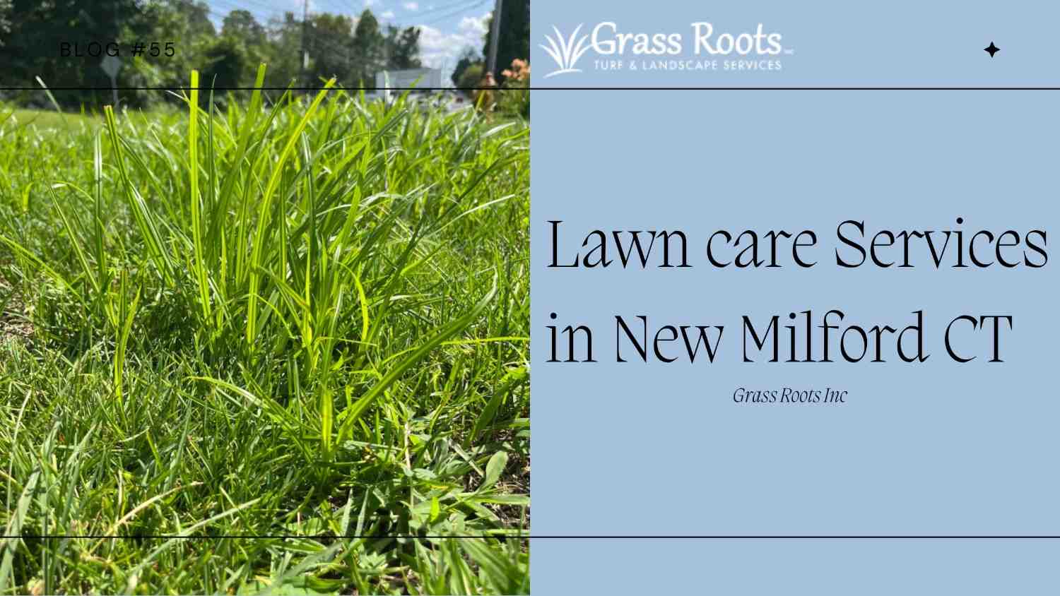Lawn care Services in New Milford CT