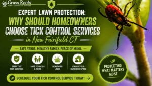 Expert Tick Control Services