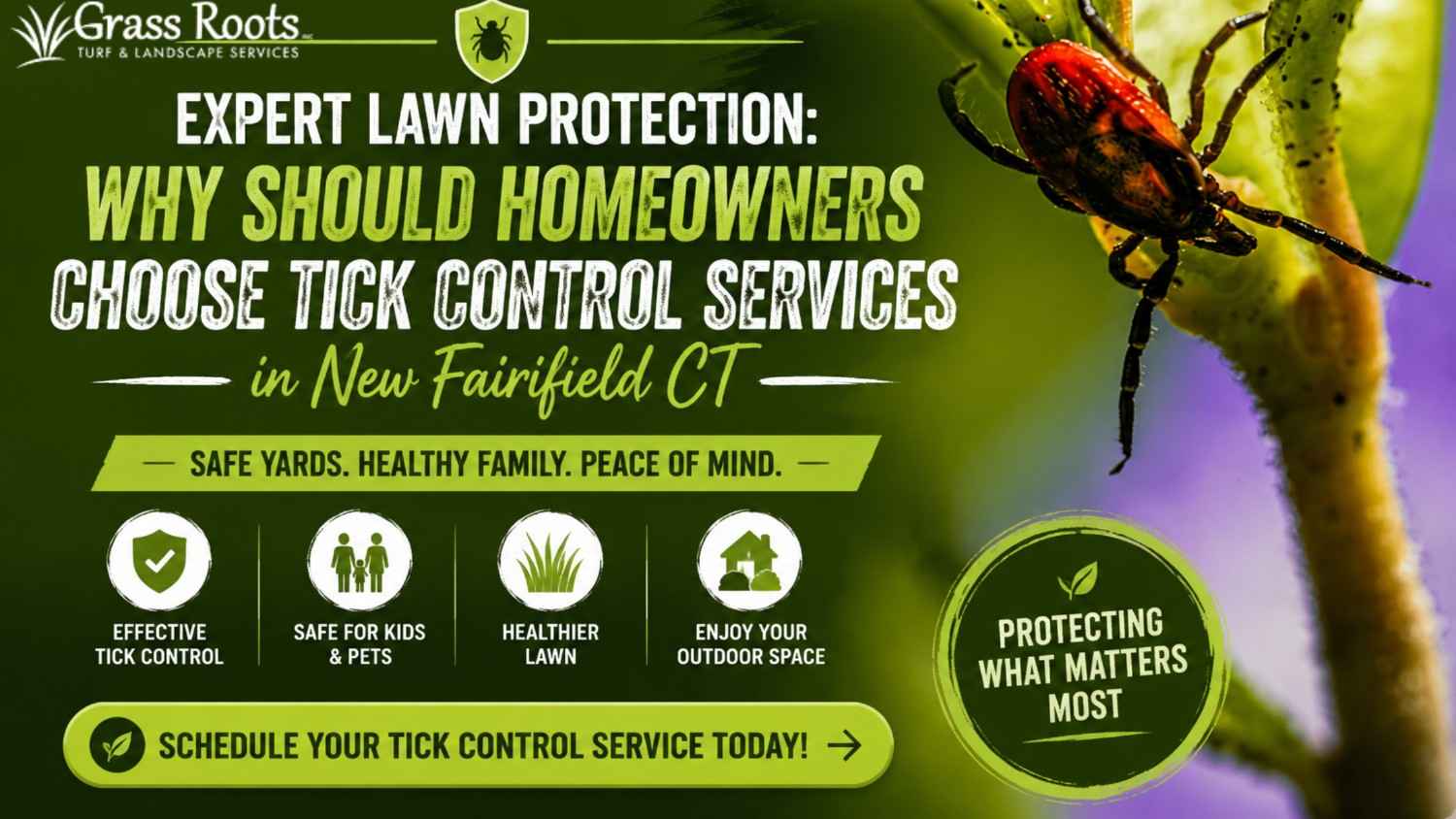 Expert Tick Control Services