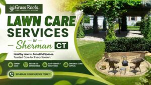 lawn care services in Sherman
