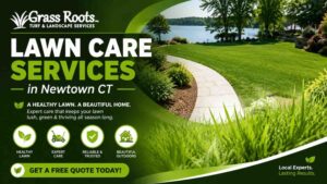 Lawn Care Services in Newtown