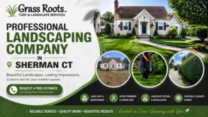 Professional Landscaping Company in Sherman